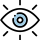 Vision Icon